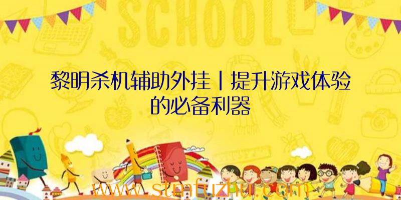 黎明杀机辅助外挂|提升游戏体验的必备利器